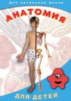 DVD  Анатомия для детей - Интернет-магазин товаров для образования - Глобус, ХМАО